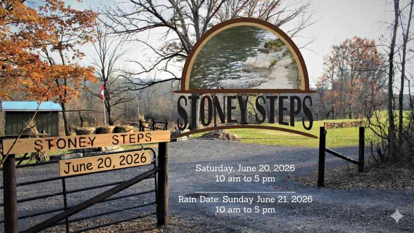 Stoney Steps Art Fest 2026